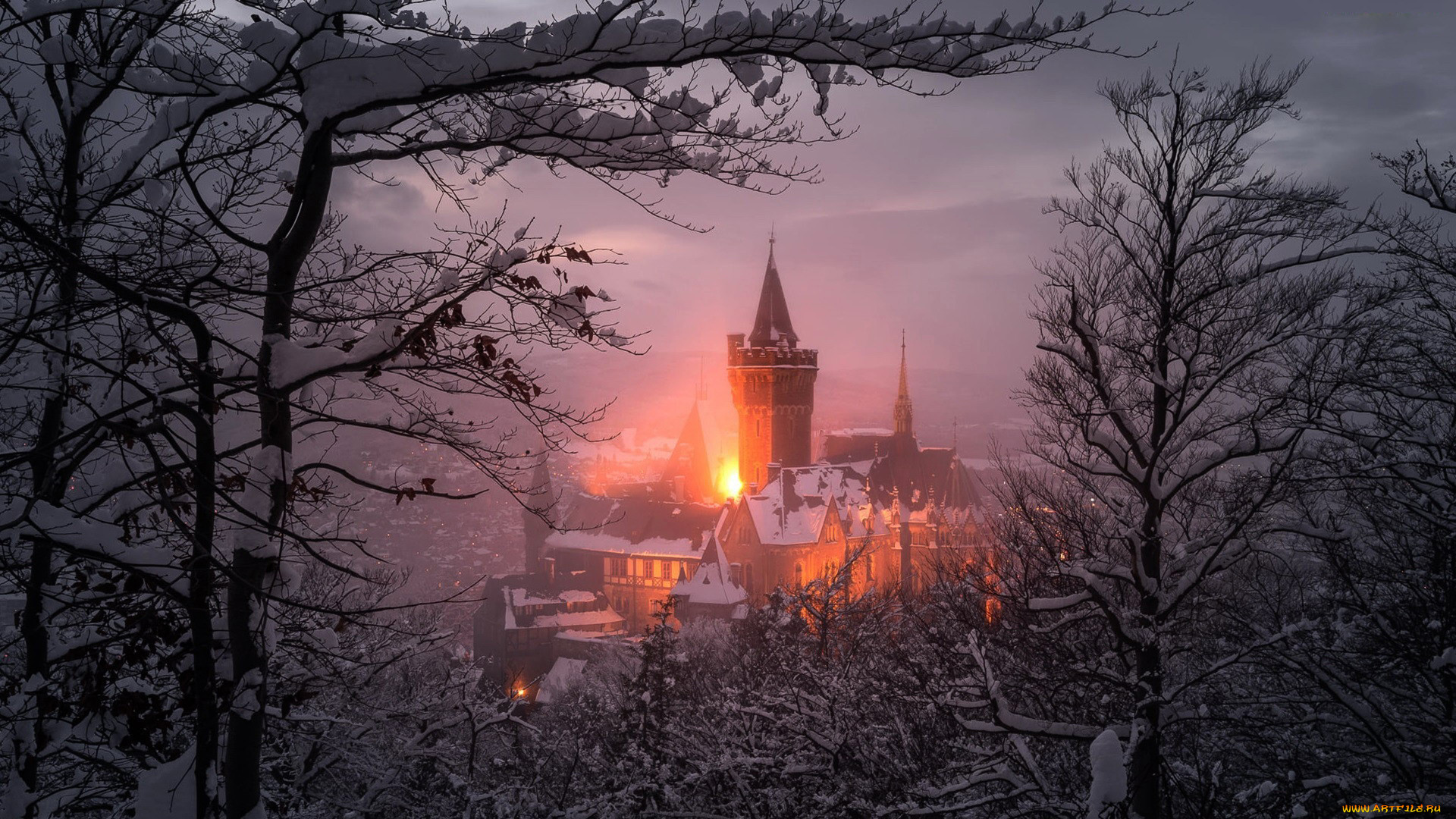 wernigerode castle, ,  , wernigerode, castle